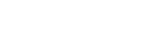 vinted logo